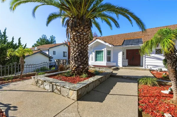 a view of a backyard with plants and patio