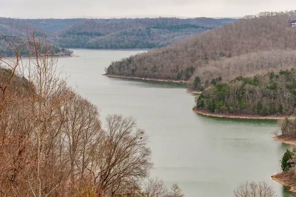 $1,750,000 | 42 Deer Path Court, Smithville, TN 37166