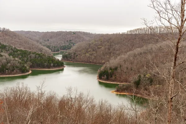 $1,750,000 | 42 Deer Path Court, Smithville, TN 37166