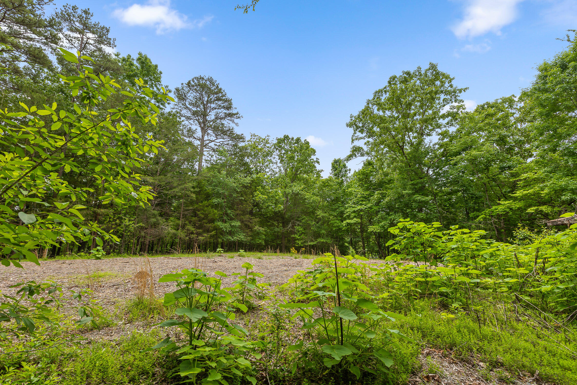 9783 Blue Springs Road Harrison, TN 37341 - Photo 11 of 24 Blue Springs Rd