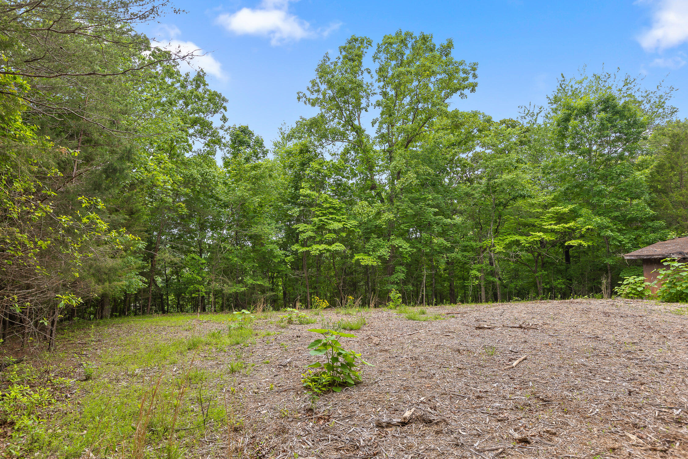 9783 Blue Springs Road Harrison, TN 37341 - Photo 15 of 24 Blue Springs Rd