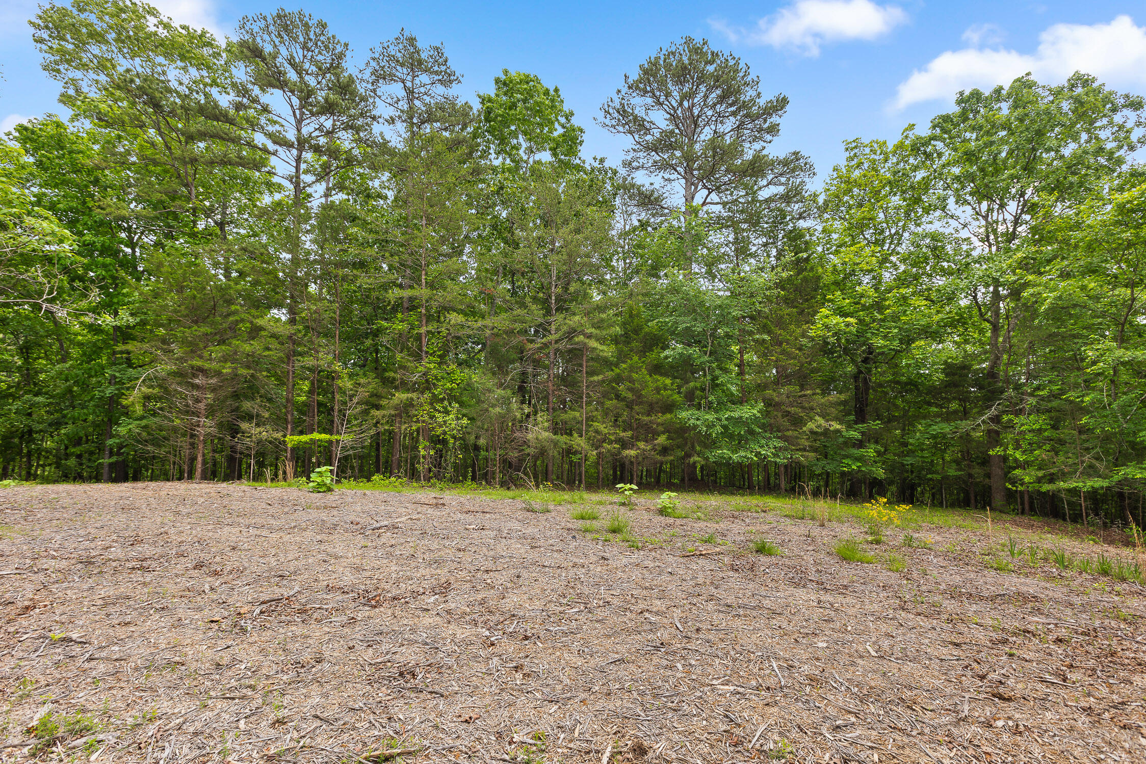 9783 Blue Springs Road Harrison, TN 37341 - Photo 22 of 24 Blue Springs Rd