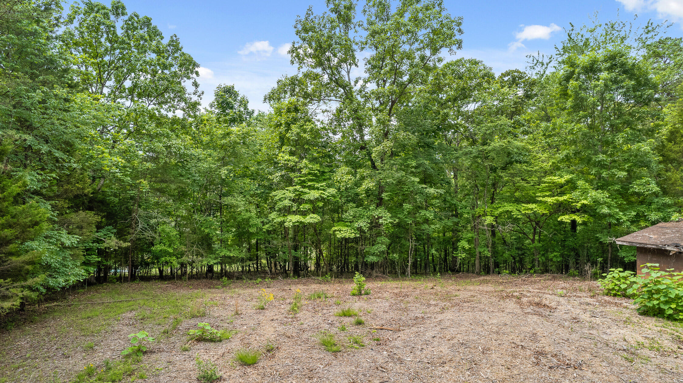 9783 Blue Springs Road Harrison, TN 37341 - Photo 23 of 24 Blue Springs Rd