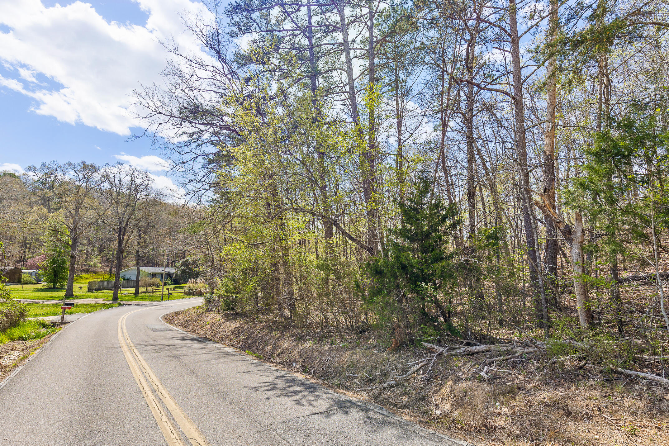 9783 Blue Springs Road Harrison, TN 37341 - Photo 8 of 24 Blue Springs Rd