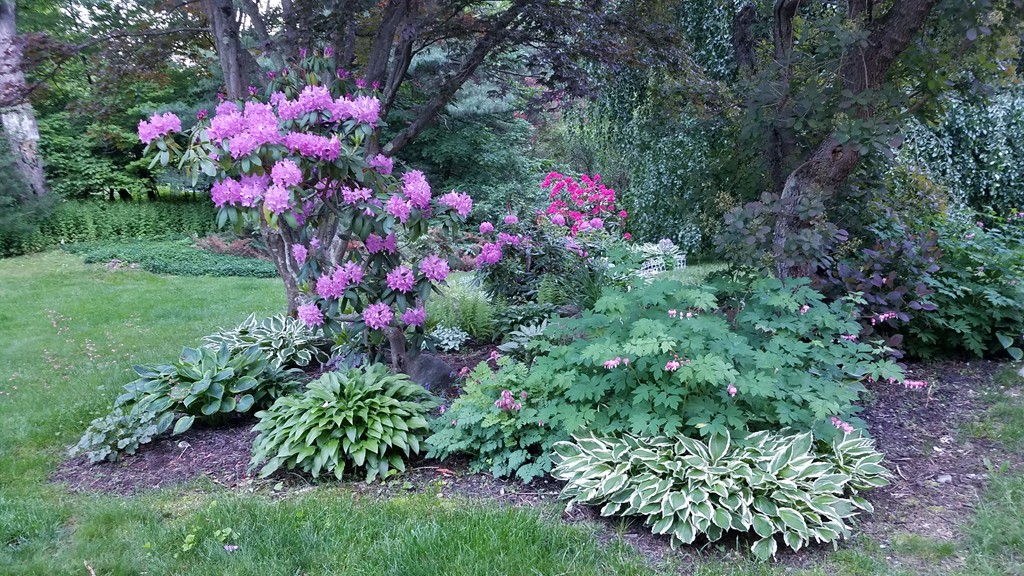 12 Kelsey Road Wayland, MA 01778 - Photo 28 of 30 Gallery Image 28