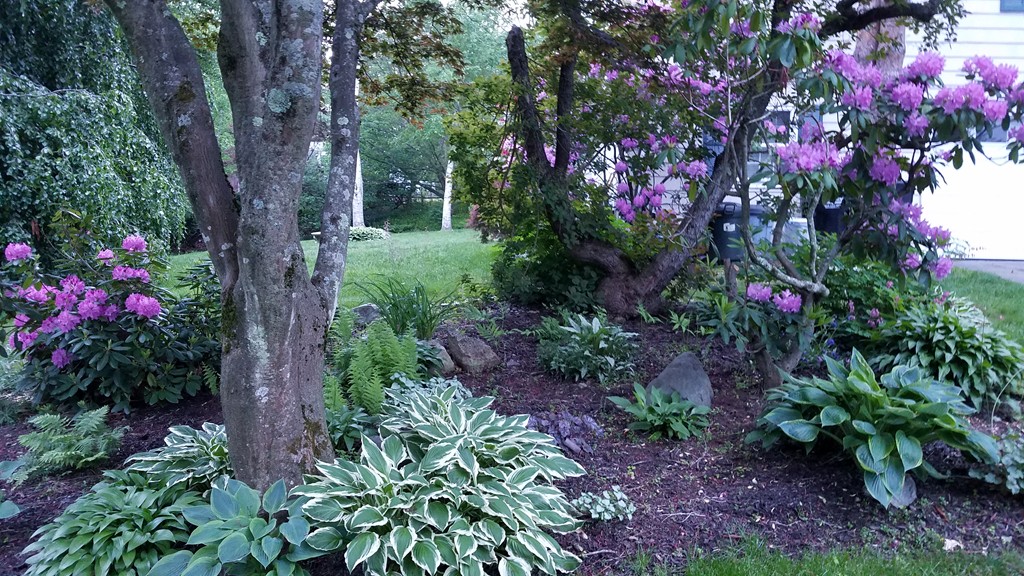 12 Kelsey Road Wayland, MA 01778 - Photo 30 of 30 Gallery Image 30