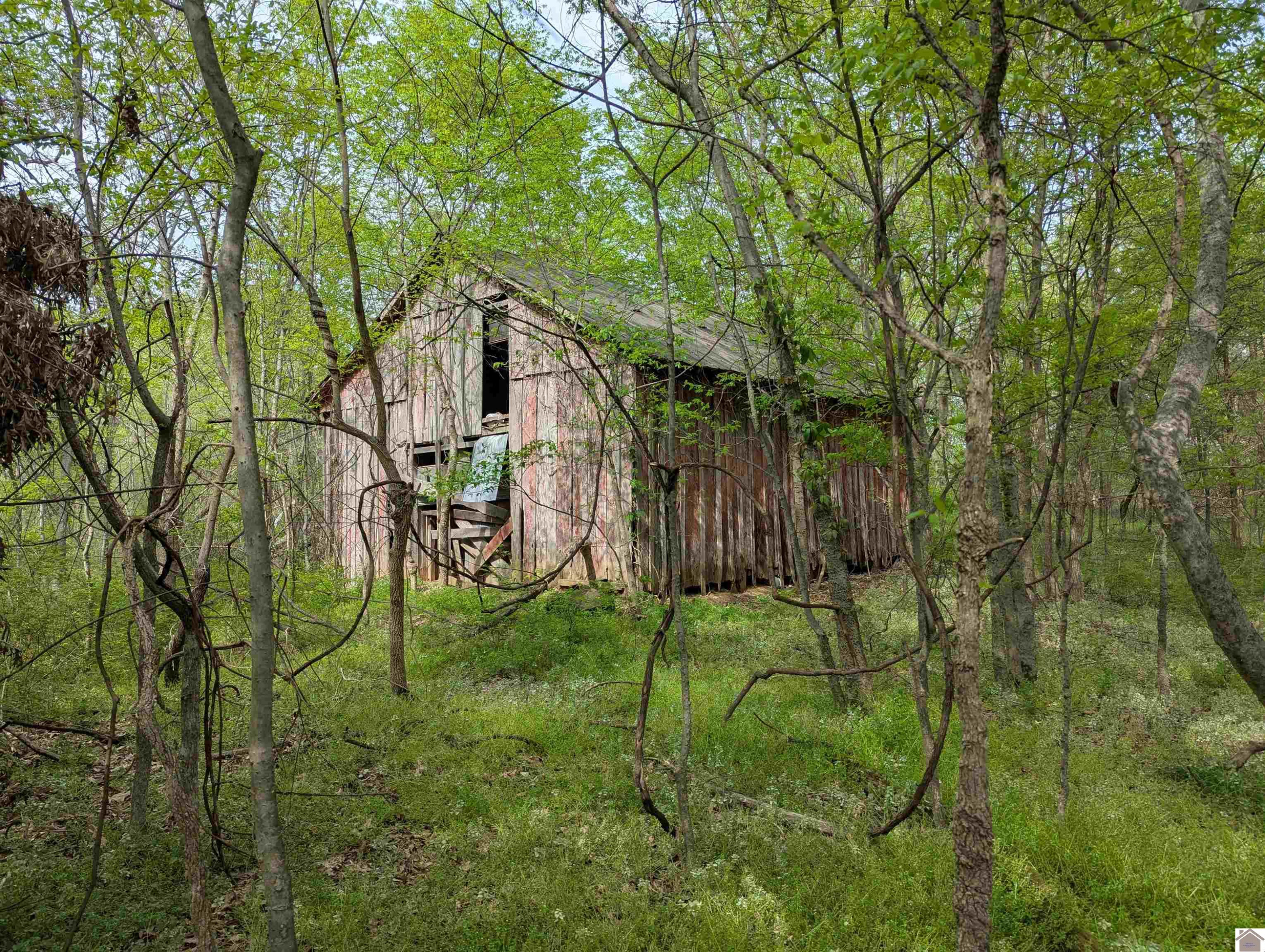 0 Wice Church Road Boaz, KY 42027 - Photo 8 of 20 Photo 8