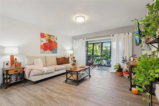 a living room with furniture and a potted plant