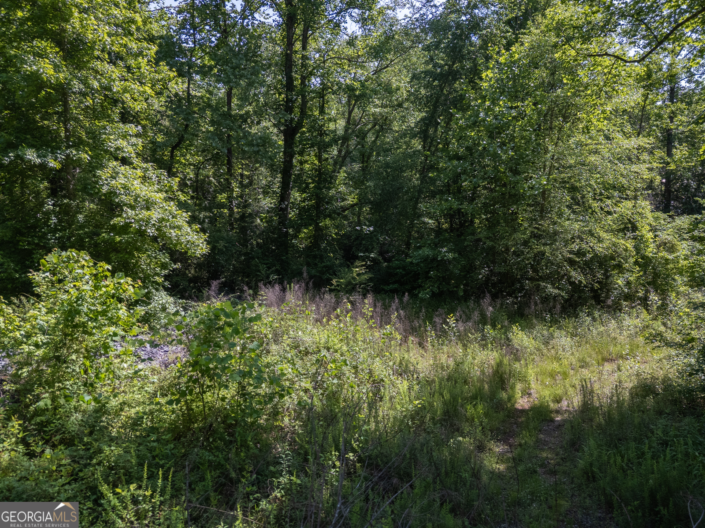 440 Joe Franklin Road Sautee Nacoochee, GA 30571 - Photo 2 of 49 Gallery Image 2
