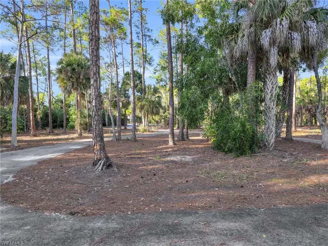 a view of outdoor space with trees