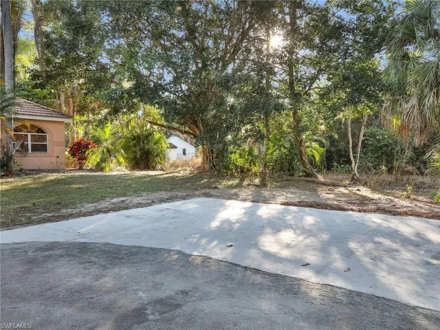 a view of a yard with a tree