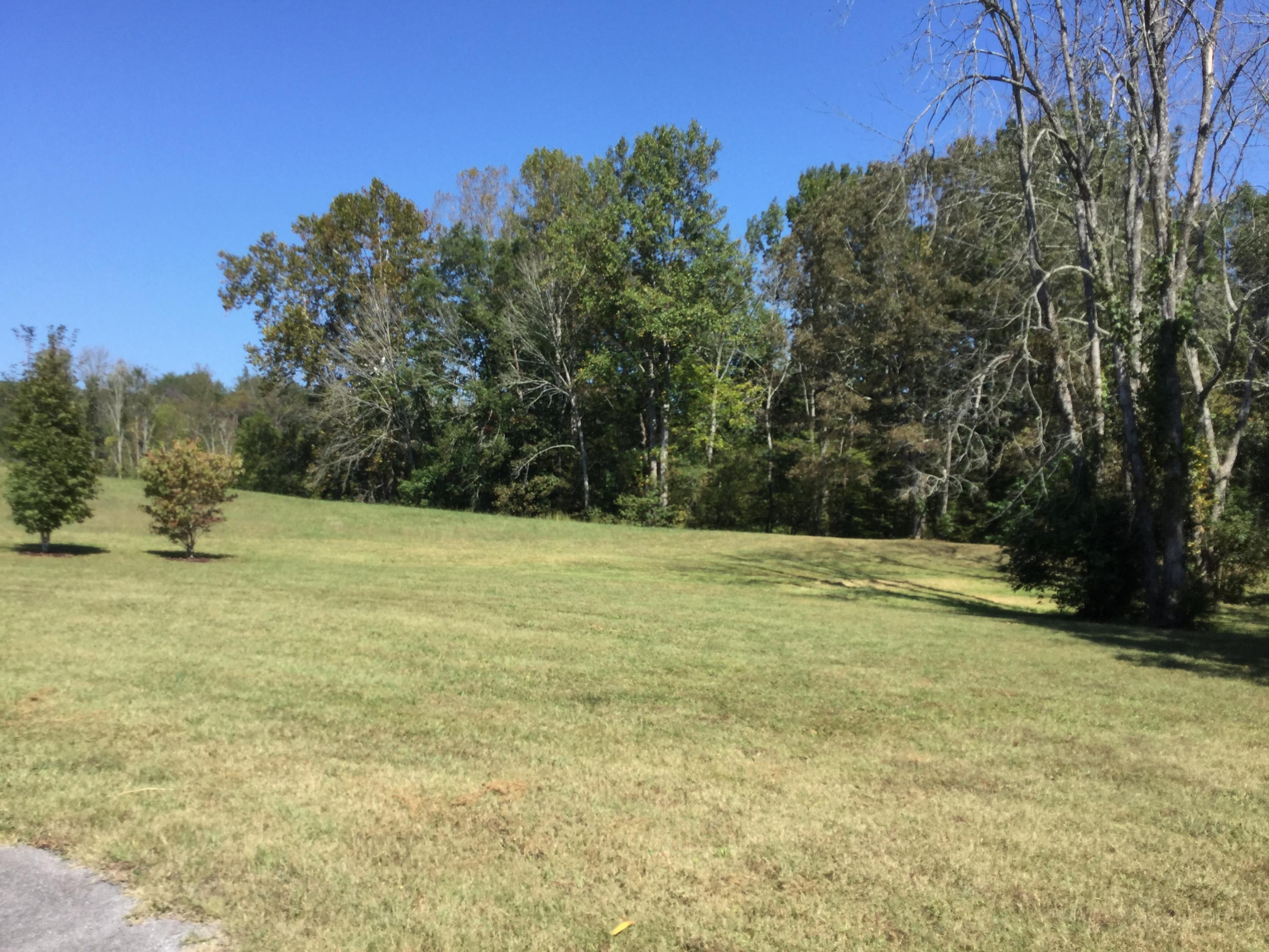 1099 Little Valley Road Blaine, TN 37709 - Photo 22 of 22 View from front of home
