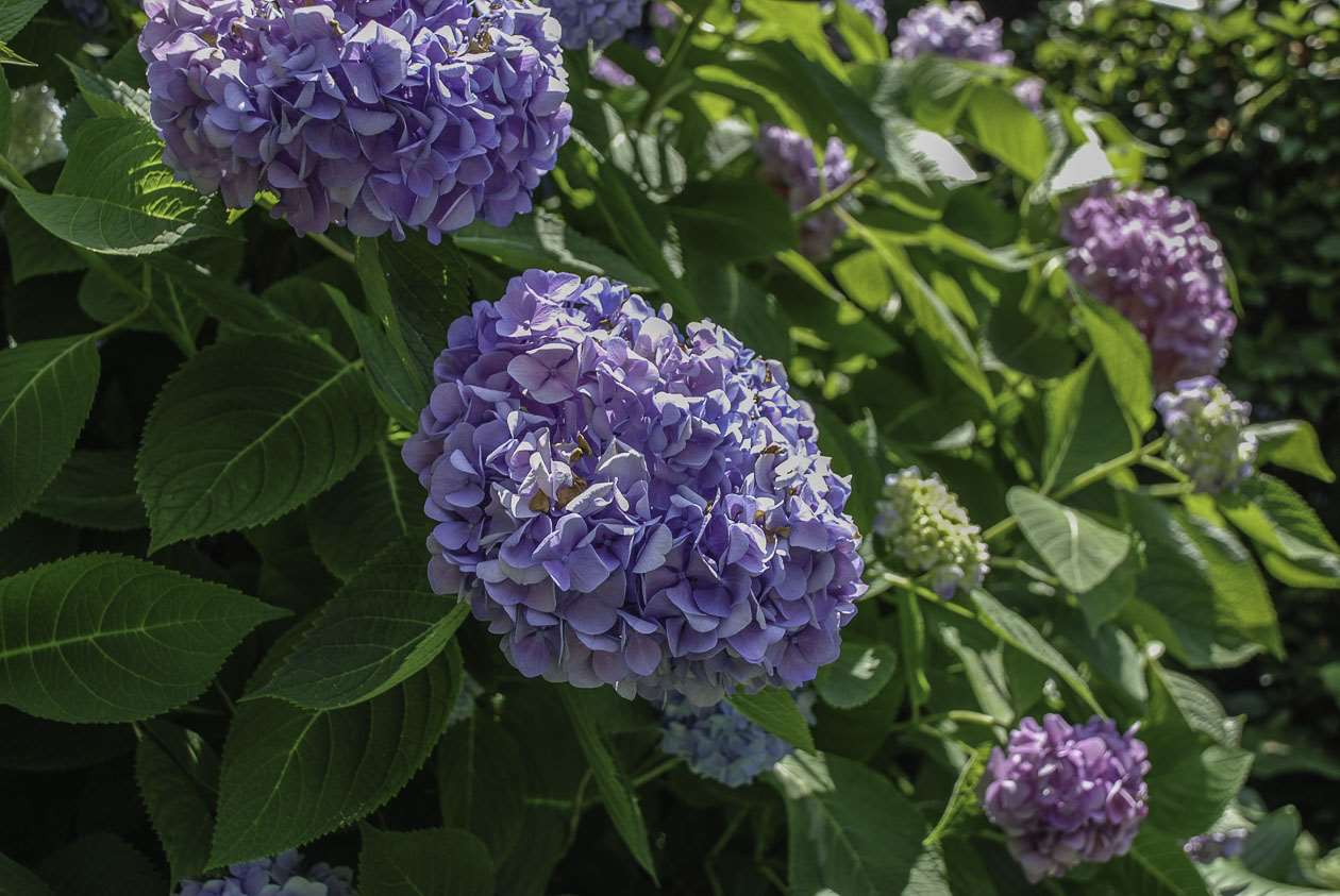 104 Westhill Circle, Unit 6E Myrtle Beach, SC 29572 - Photo 36 of 44