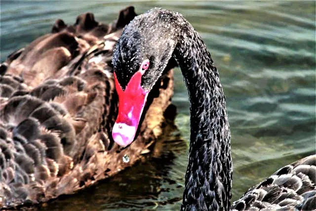 $389,000 | 104 Westhill Circle, Unit 6E, Myrtle Beach, SC 29572