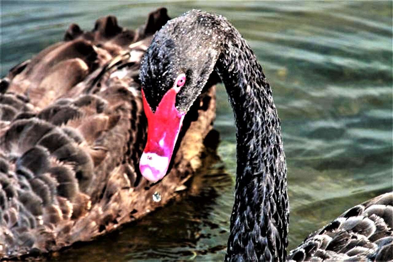 104 Westhill Circle, Unit 6E Myrtle Beach, SC 29572 - Photo 38 of 44