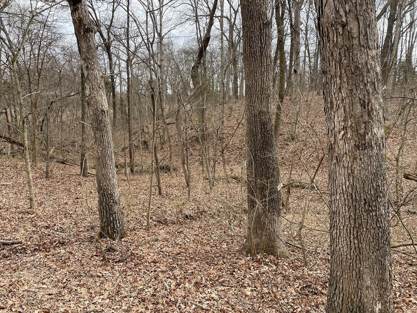 0 Ll Road Waterloo, IL 62298 - Photo 22 of 22