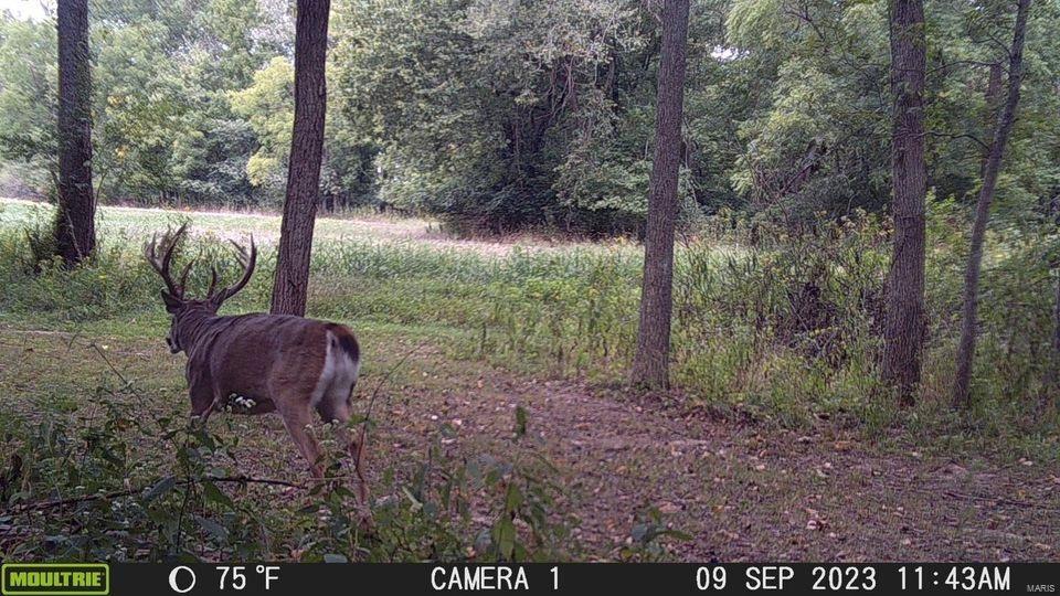 0 Ll Road Waterloo, IL 62298 - Photo 5 of 22