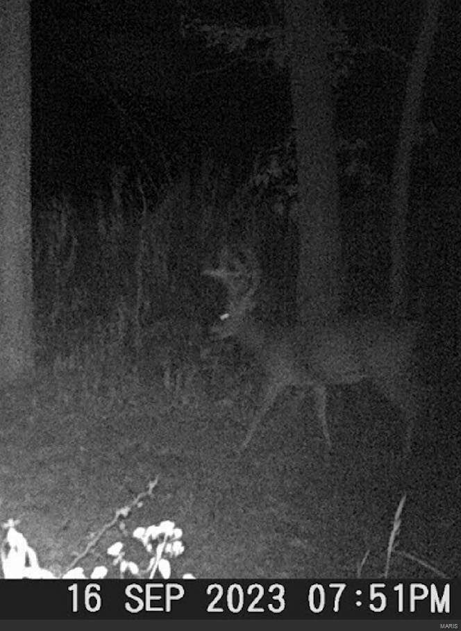 0 Ll Road Waterloo, IL 62298 - Photo 8 of 22