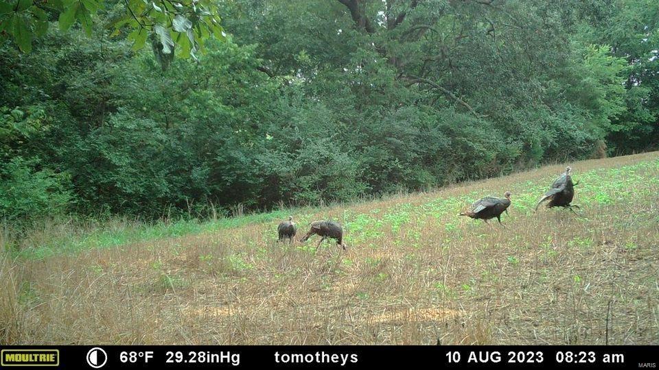 0 Ll Road Waterloo, IL 62298 - Photo 10 of 22