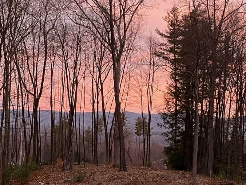 48 Pine Ridge Road Vernon, VT 05354 - Photo 47 of 54