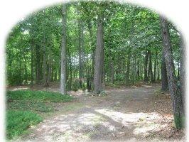 6252 Smith Mountain Road Penhook, VA 24137 - Photo 4 of 4 Woodsy and private