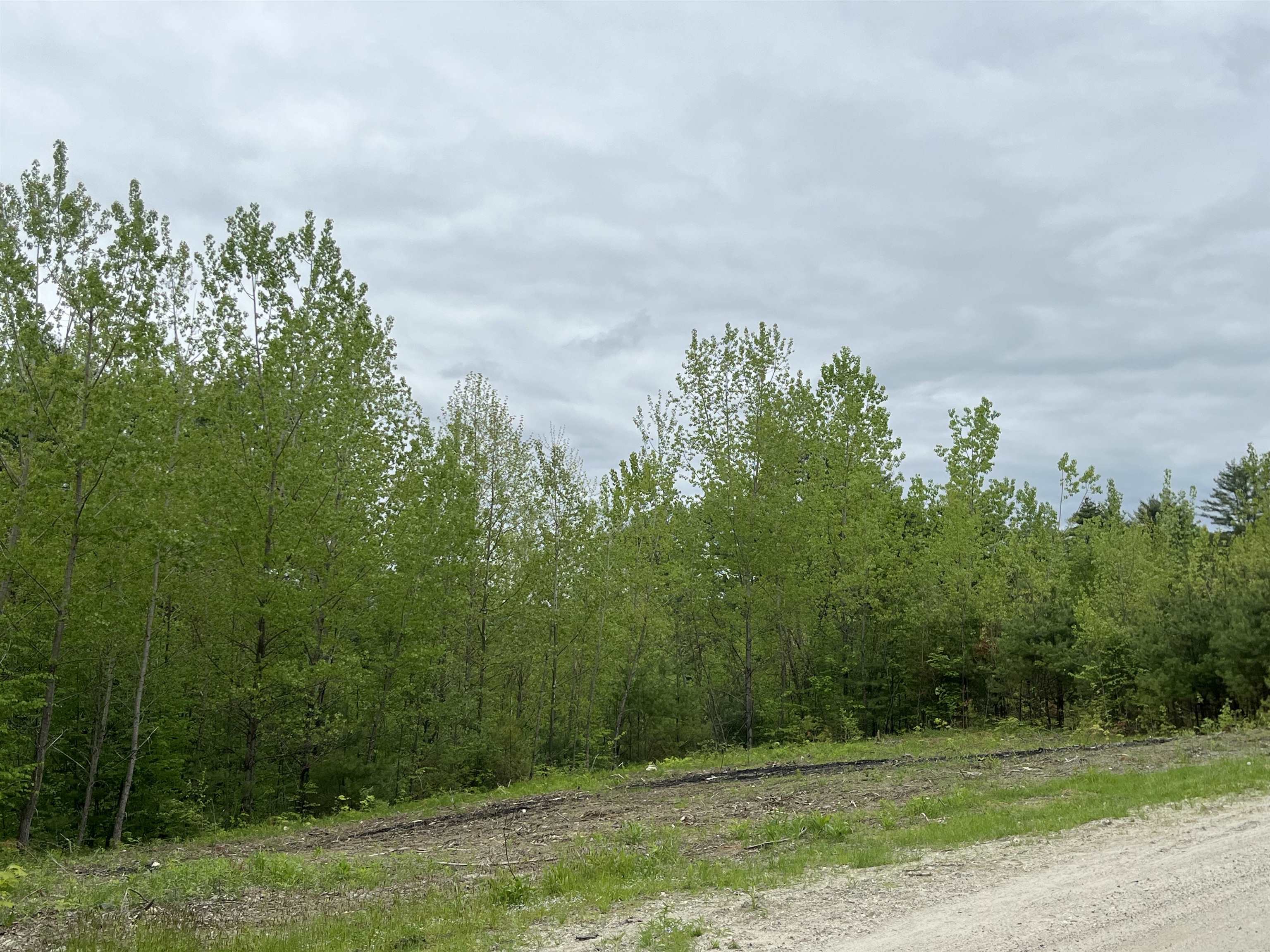 0 Remington Road, Unit 6 Chester, VT 05143 - Photo 3 of 5