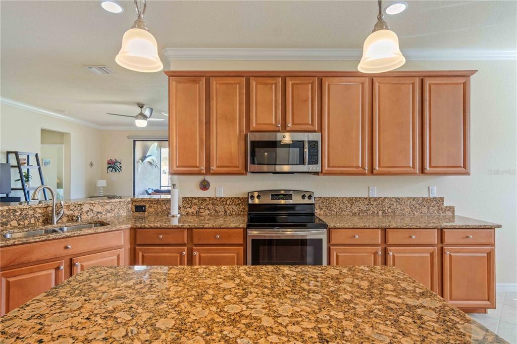 20370 Grazie Place Venice, FL 34293 - Photo 19 of 86 a kitchen with stainless steel appliances granite countertop a stove a sink and a microwave