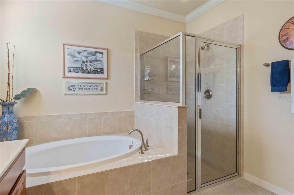 20370 Grazie Place Venice, FL 34293 - Photo 48 of 86 a bathroom with a bathtub and a shower