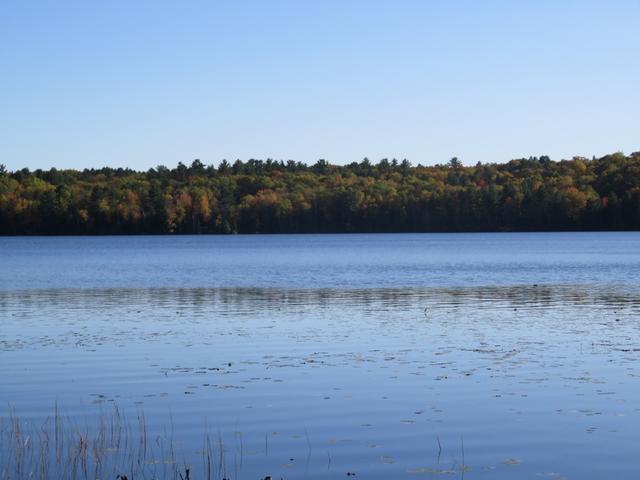 651 Allyn Road Three Lakes, WI 54562 - Photo 17 of 20 Gallery Image 17
