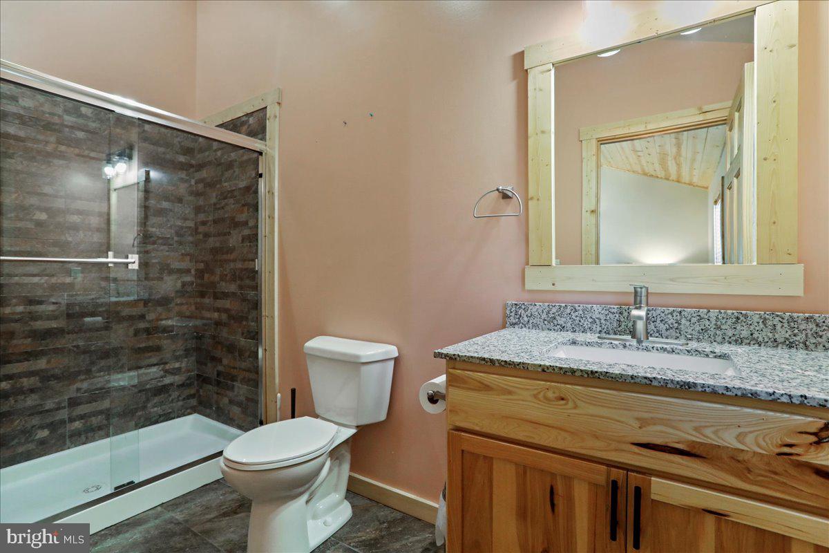 957 North Camp Road McHenry, MD 21541 - Photo 25 of 53 a bathroom with a granite countertop sink toilet and shower