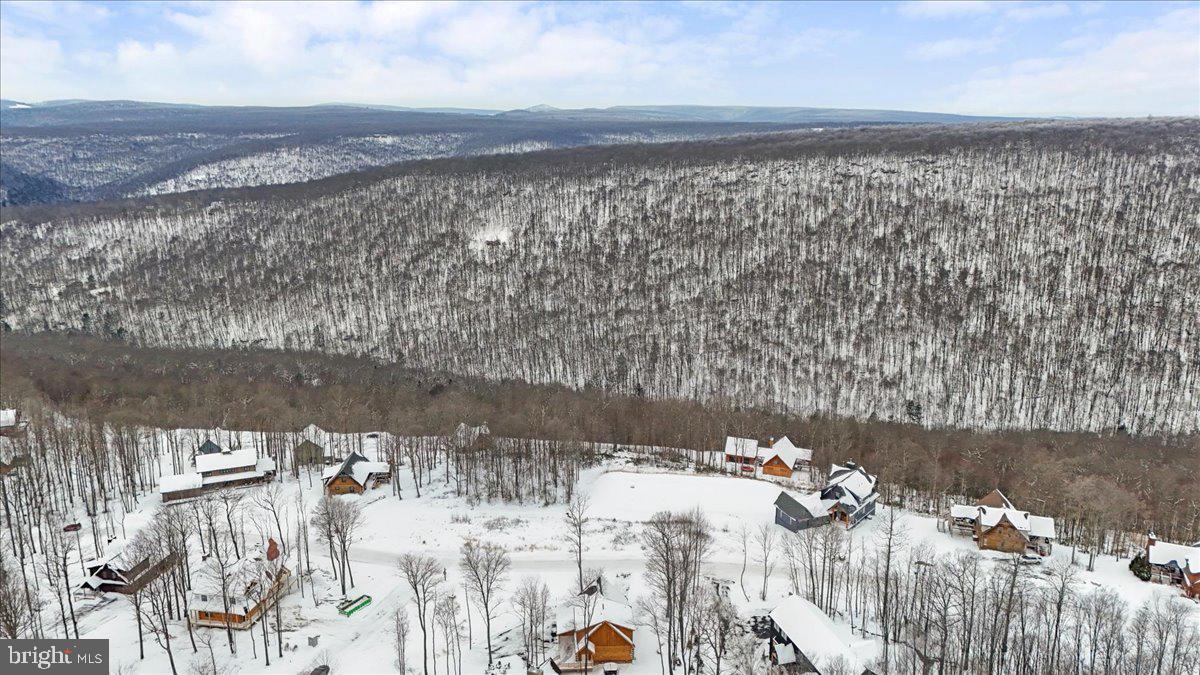 957 North Camp Road McHenry, MD 21541 - Photo 48 of 53 a view of a terrace with a yard
