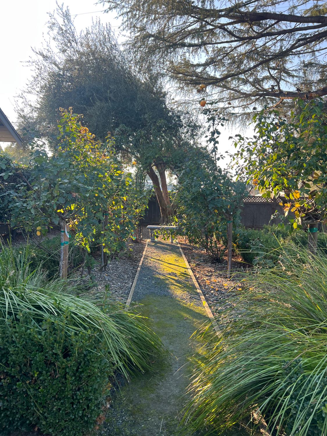 3955 Coffee Road, Unit 53 Modesto, CA 95355 - Photo 16 of 39 a view of a backyard