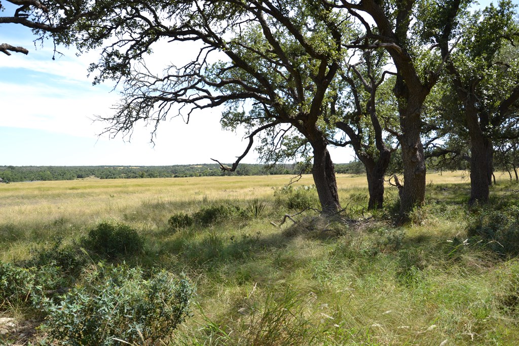 1000 Duderstadt Road, Unit 12 Harper, TX 78631 - Photo 11 of 16