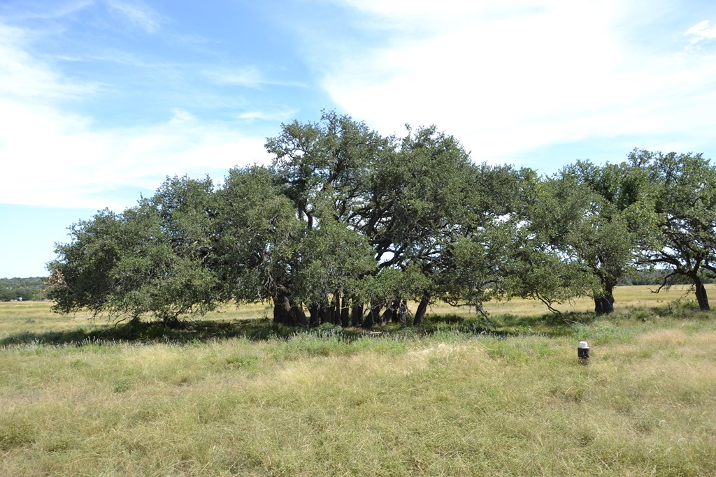 1000 Duderstadt Road, Unit 12 Harper, TX 78631 - Photo 14 of 16