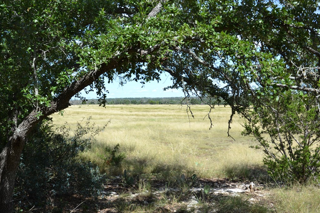 1000 Duderstadt Road, Unit 12 Harper, TX 78631 - Photo 4 of 16