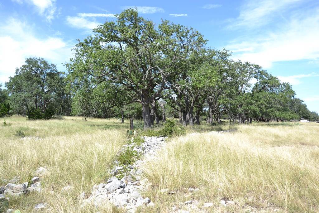 1000 Duderstadt Road, Unit 12 Harper, TX 78631 - Photo 6 of 16