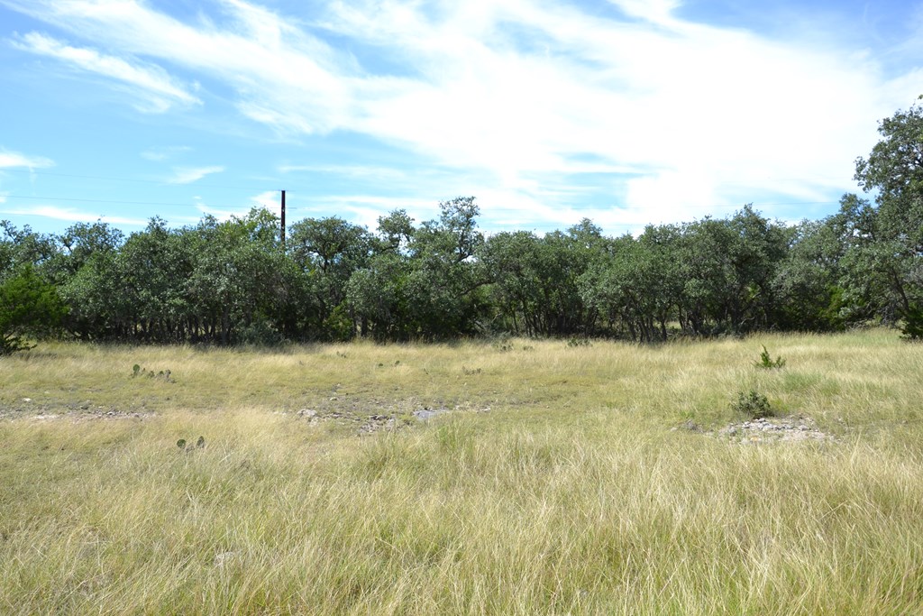 1000 Duderstadt Road, Unit 12 Harper, TX 78631 - Photo 7 of 16