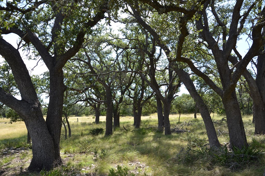 1000 Duderstadt Road, Unit 12 Harper, TX 78631 - Photo 8 of 16