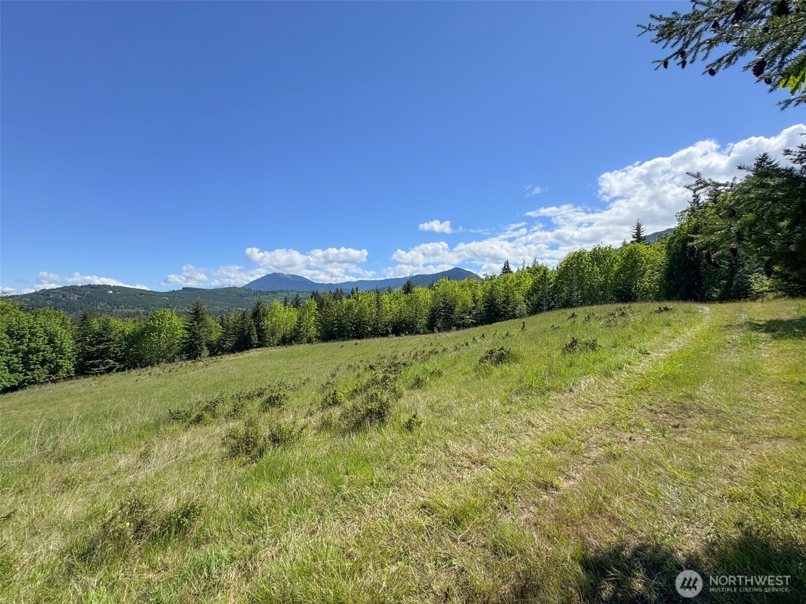 9999 Kruse Road Port Angeles, WA 98362 - Photo 19 of 39