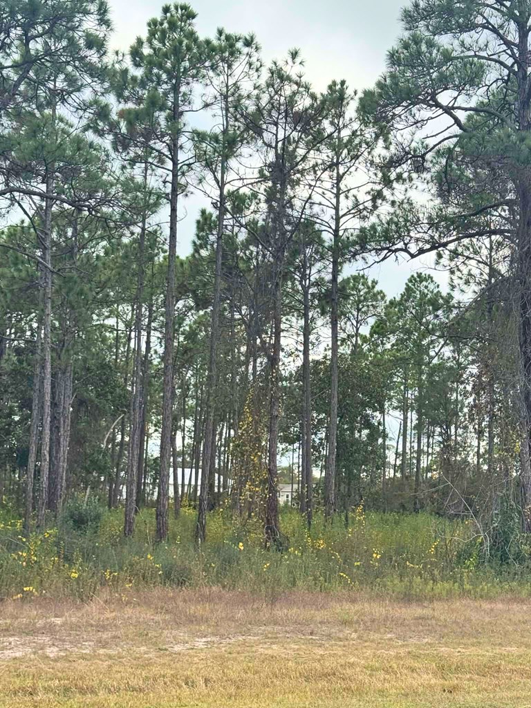 400 Ridgecrest Parkway Eastpoint, FL 32328 - Photo 2 of 4