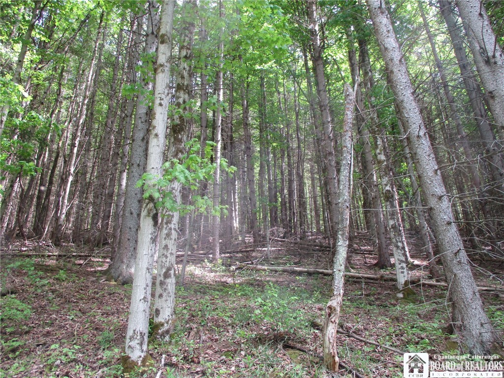 Yankee Road Cuba, NY 14727 - Photo 28 of 31