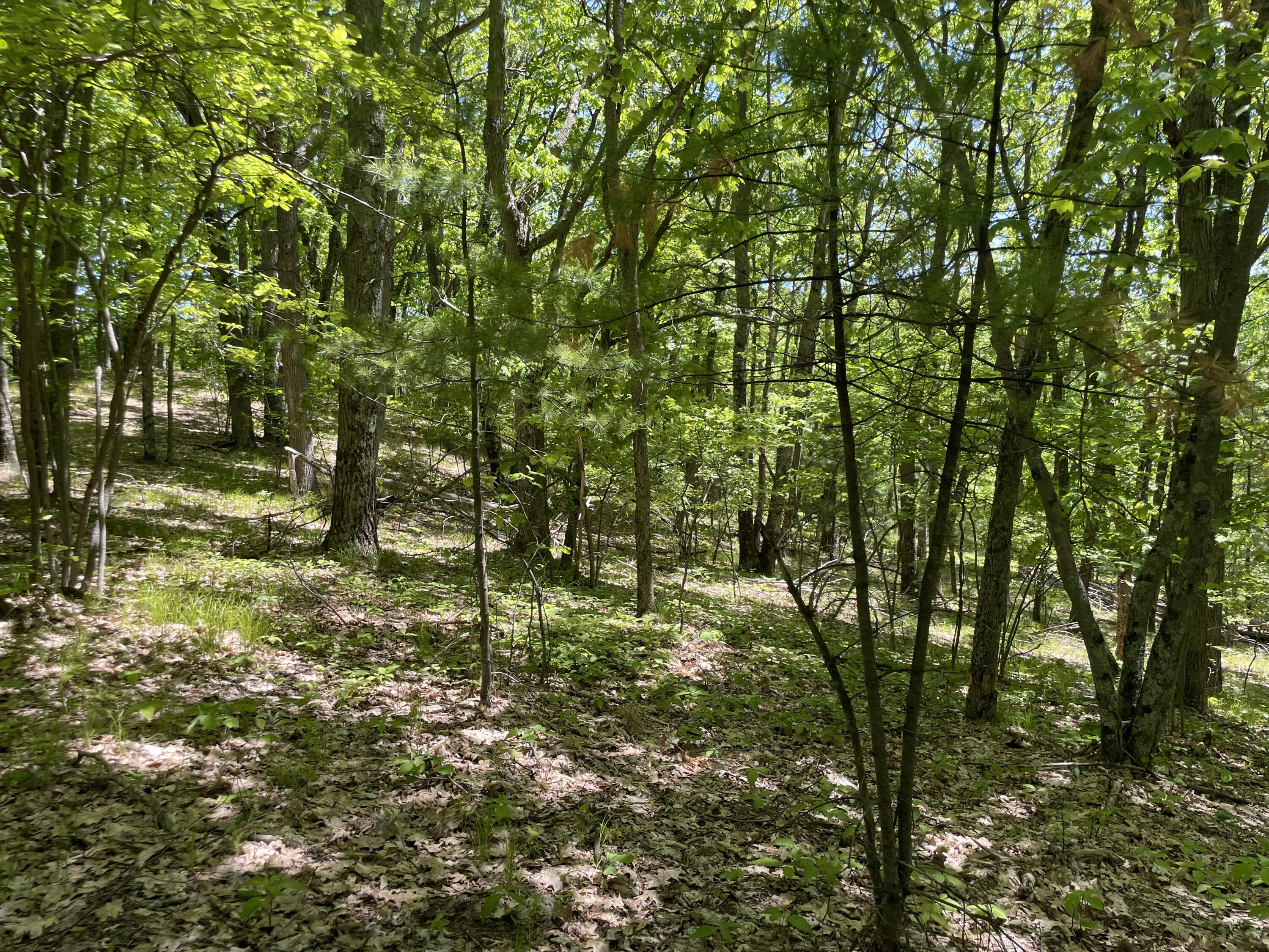 10 East Mile Road Luther, MI 49656 - Photo 23 of 40 IMG_0774