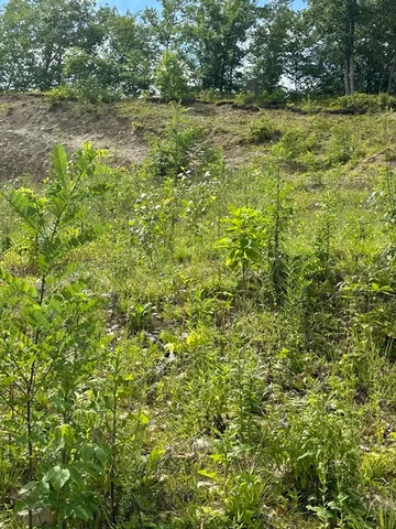 $89,900 | 33 Walsh Avenue, Auburn, MA 01501