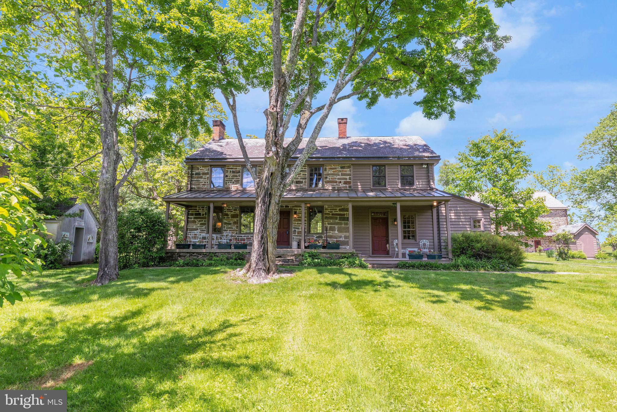 a view of a big yard with plants and large trees
