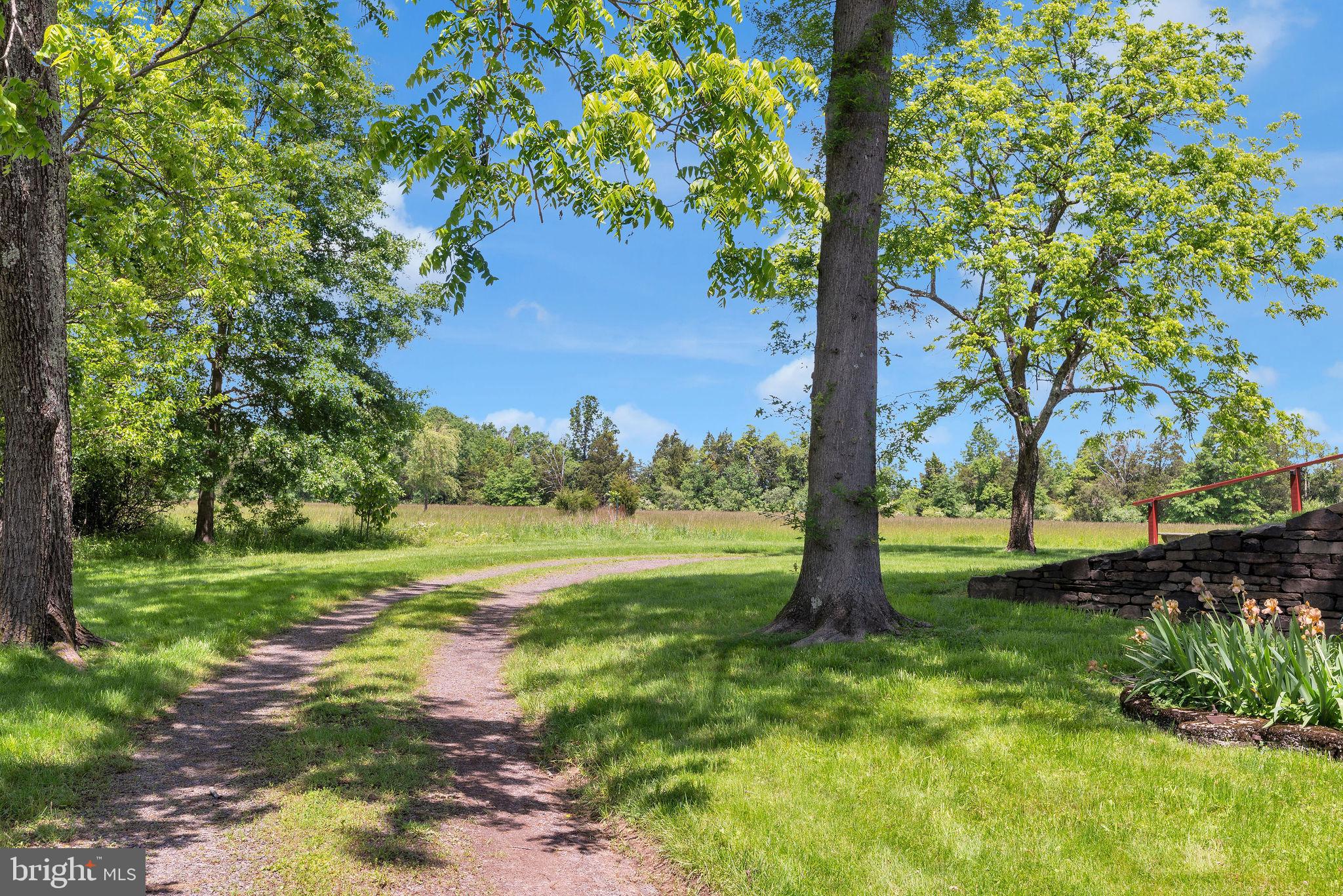 82 Tory Road Pipersville, PA 18947 - Photo 56 of 76 a view of a garden with an tree