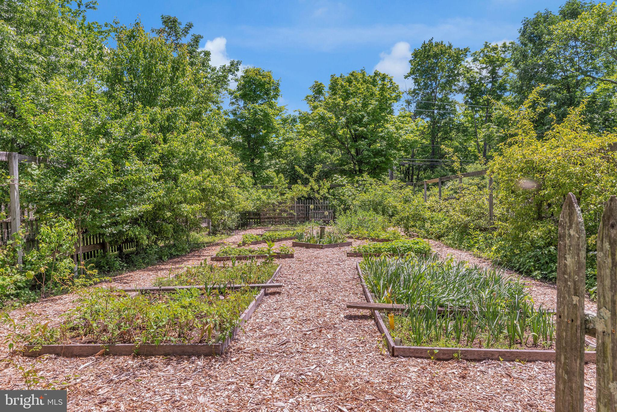 82 Tory Road Pipersville, PA 18947 - Photo 61 of 76 a view of a pathway with a yard