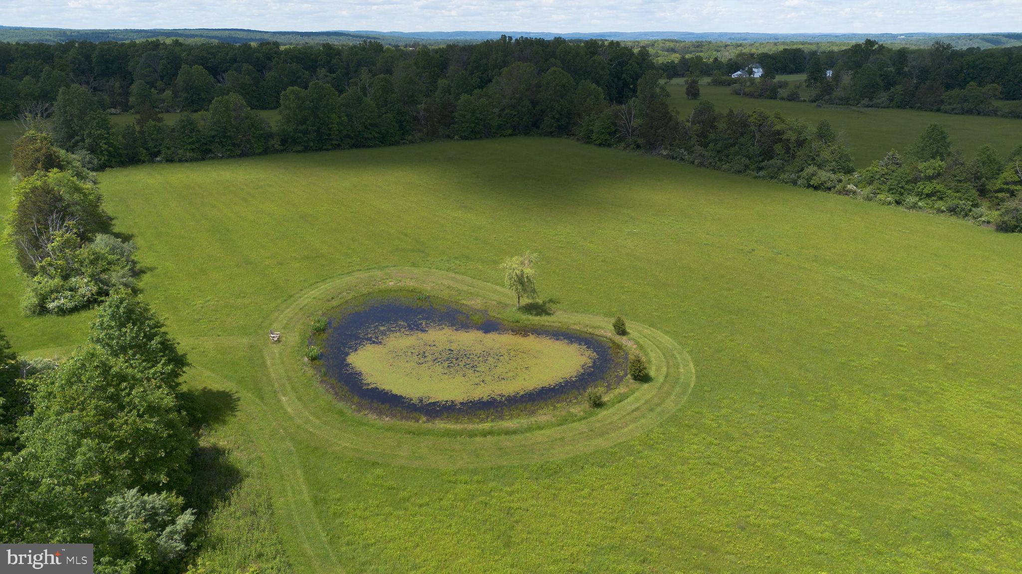 82 Tory Road Pipersville, PA 18947 - Photo 62 of 76 a view of a swimming pool and mountain view