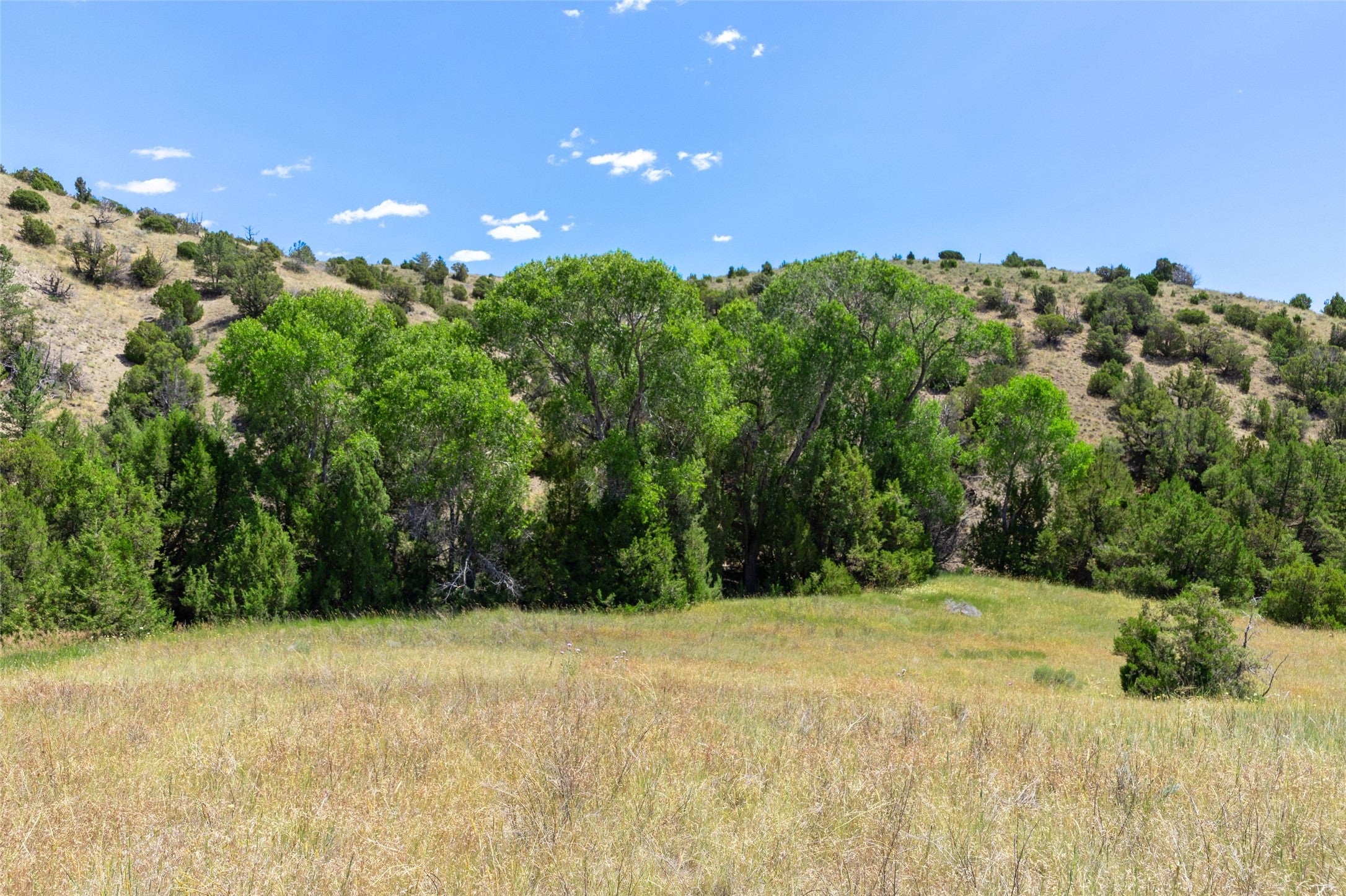 5835 Spaulding Bridge Road Belgrade, MT 59714 - Photo 84 of 100 Gallery Image 84