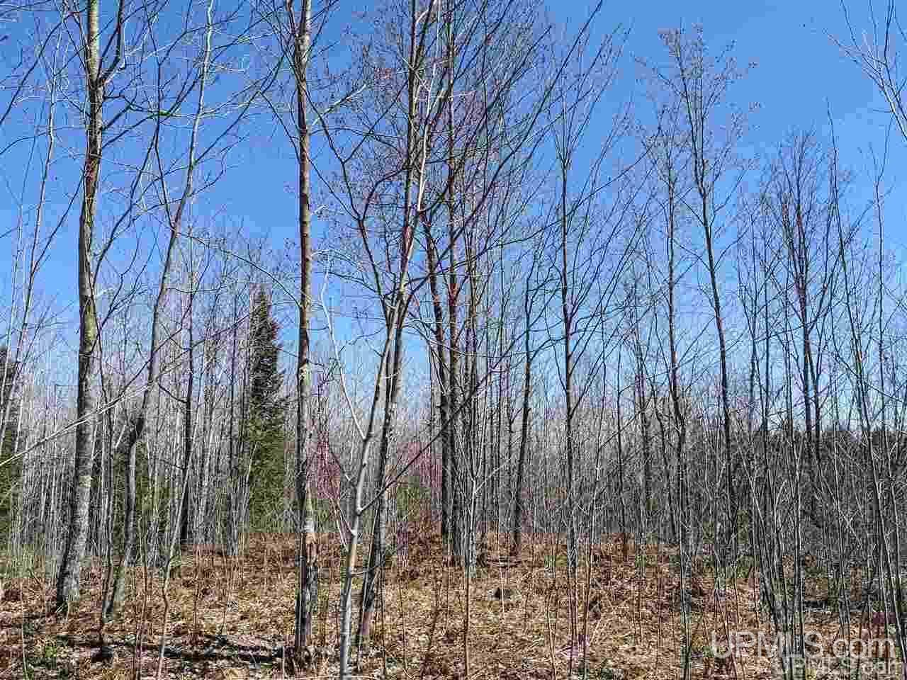 Tbd Off Leeman Road, Unit SENW NESW Sagola, MI 49881 - Photo 11 of 18