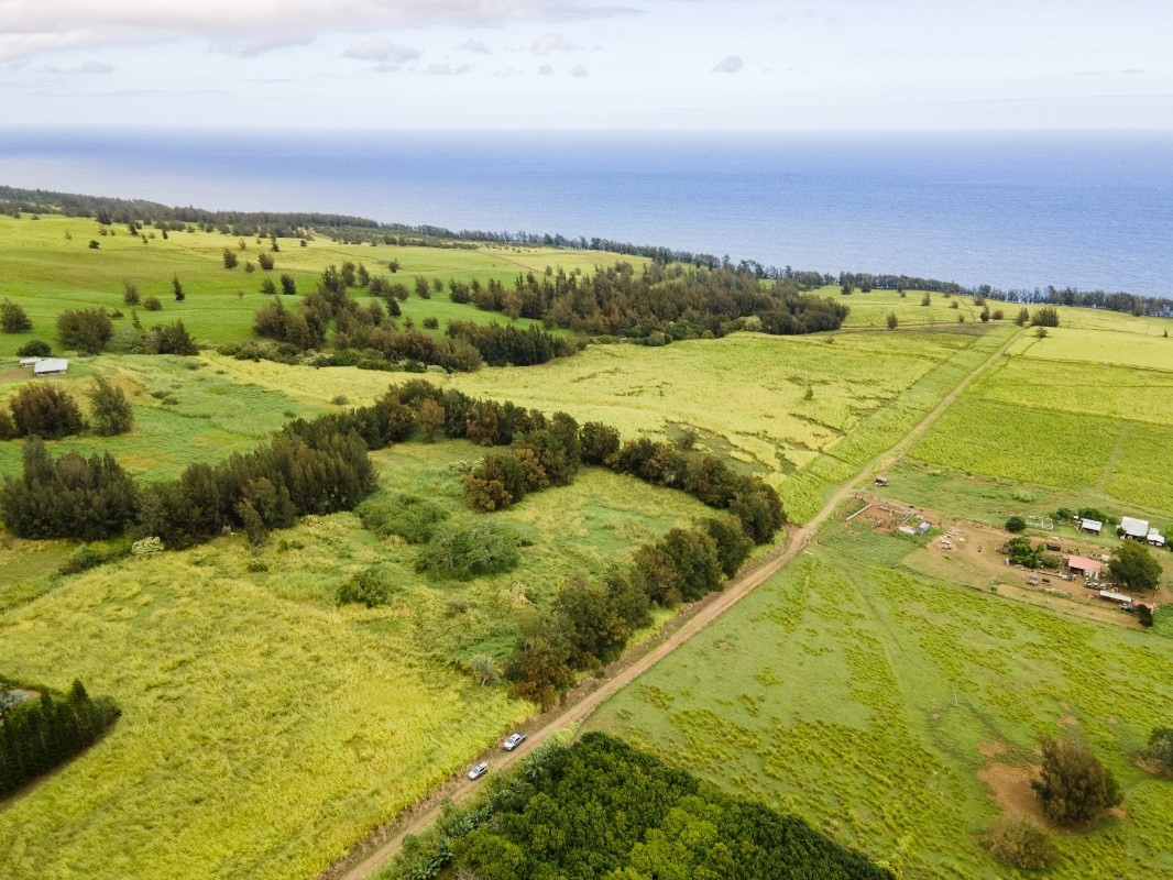 11 C Lot Road Honokaa, HI 96727 - Photo 1 of 7 Gallery Image 1